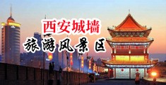 午夜操逼中国陕西-西安城墙旅游风景区